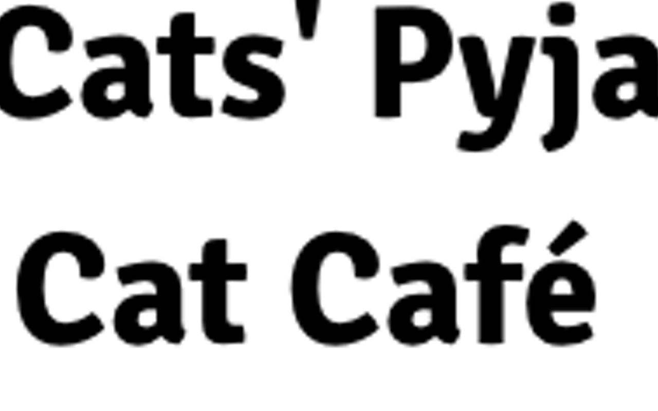 Image: Cats&rsquo; Pyjamas Cat Caf&eacute;